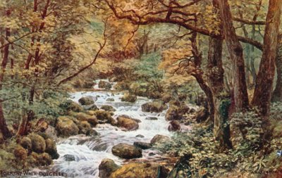 Torrent Walk, Dolgelley by Alfred Robert Quinton